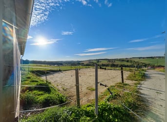Equestrian Farm – Agricultural Property East of Munich