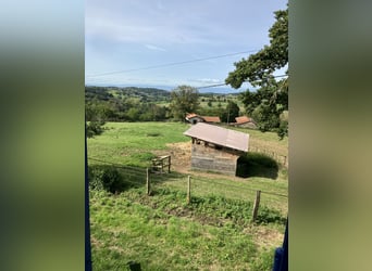 Equestrian farm