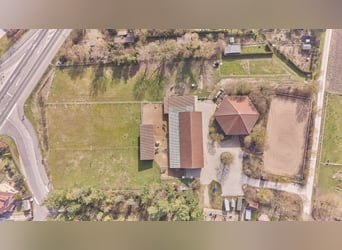 Equestrian farm for sale in the Kitzingen district featuring a modern residential building from 2019