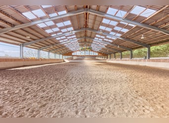 Equestrian farm in Lower Bavaria featuring an indoor riding hall, stylish country house, and heated 