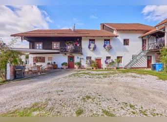 Equestrian farm in Lower Bavaria featuring an indoor riding hall, stylish country house, and heated 