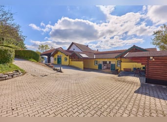 Equestrian farm in Lower Bavaria featuring an indoor riding hall, stylish country house, and heated 