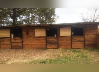 Equestrian property in Italy close to Po Delta Park and 30 minutes to the beach 