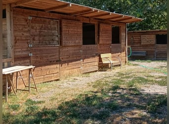 Equestrian property in Italy close to Po Delta Park and 30 minutes to the beach 
