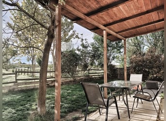 Equestrian property in Italy close to Po Delta Park and 30 minutes to the beach 