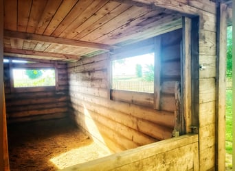 Equestrian property in Italy close to Po Delta Park and 30 minutes to the beach 