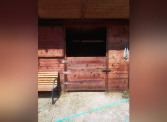 Equestrian property in Italy close to Po Delta Park and 30 minutes to the beach 