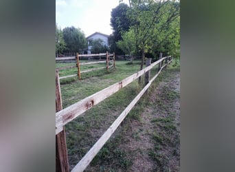 Equestrian property in Italy close to Po Delta Park and 30 minutes to the beach 
