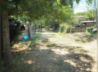 Equestrian property in Italy close to Po Delta Park and 30 minutes to the beach 