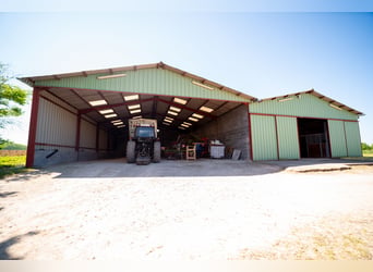 Equestrian property just outside Mâcon