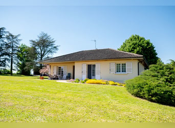 Equestrian property just outside Mâcon