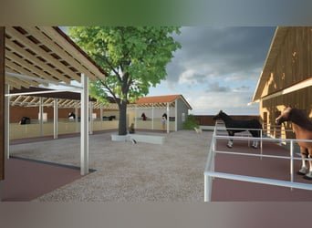 Equestrian property with 3.3 hectares of pastureland in Switzerland (near St. Gallen)