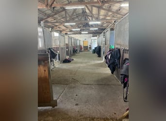 Equestrian property with a large residence and development potential