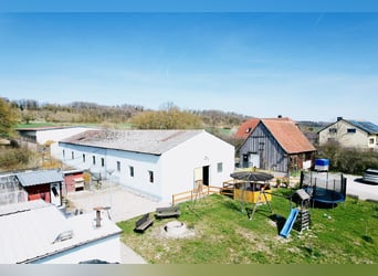 Equestrian property with a large residence and development potential