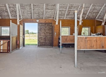 Equestrian Property with Endless Possibilities!