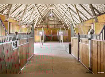 Equestrian Property with Endless Possibilities!