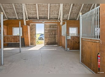 Equestrian Property with Endless Possibilities!