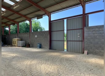 Equestrian property with great potential