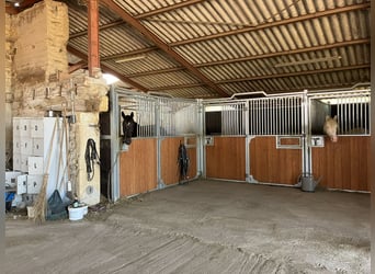 Equestrian property with living accommodations