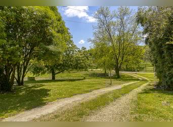 Equestrian property with numerous possibilities