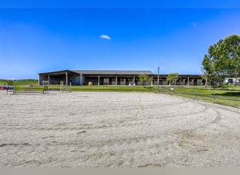 Equestrian property with numerous possibilities