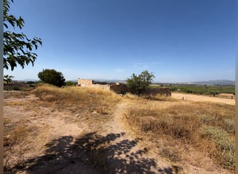 Equestrian property with residential development potential