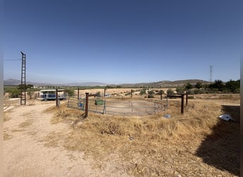 Equestrian property with residential development potential