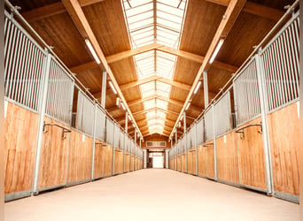 Equestrian Sports Facility for High-Level Competition in Franconia V14177 – No Commission