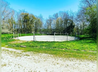 Exceptional equestrian property with multiple residences