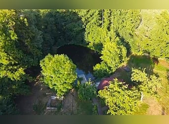 Exceptional listed estate for individualists. Perfect for equine keeping.