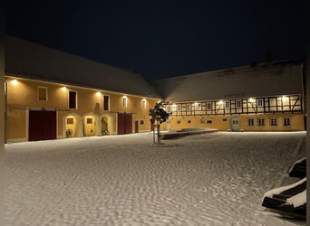 Exceptional listed estate for individualists. Perfect for equine keeping.