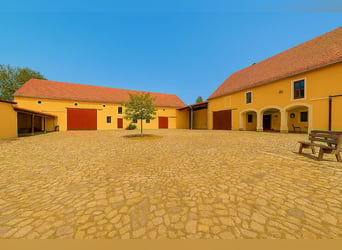 Exceptional listed estate for individualists. Perfect for equine keeping.