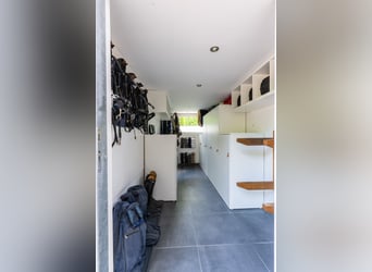 Exceptional riding facility