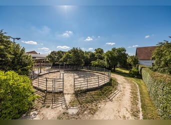 Exclusive equestrian estate featuring a meticulously renovated Jura farmhouse with award-winning des