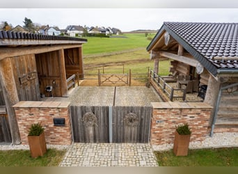 Exclusive equestrian estate nestled in the heart of the Eifel countryside