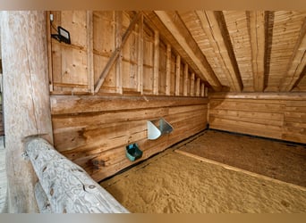 Exclusive equestrian estate nestled in the heart of the Eifel countryside