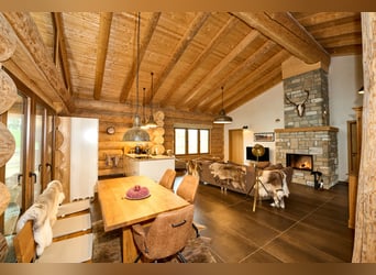 Exclusive equestrian estate nestled in the heart of the Eifel countryside