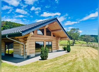 Exclusive equestrian estate with Alpine panorama – a horse paradise with great potential V13084