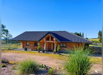 Exclusive equestrian estate with Alpine panorama – a horse paradise with potential V13084