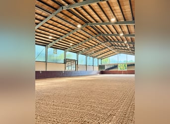 Exclusive Equestrian Facility with Clinic & Horse Rehabilitation Centre near Stuttgart
