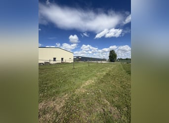 Exclusive equestrian facility with modern riding hall near Mühldorf – 388-26