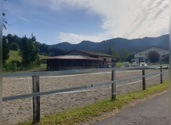 Exclusive equestrian facility with residential and investment potential in the Allgäu