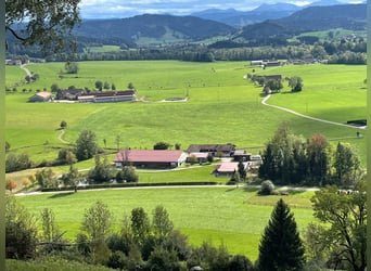 Exclusive equestrian facility with residential and investment potential in the Allgäu
