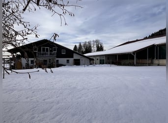 Exclusive equestrian facility with residential and investment potential in the Allgäu