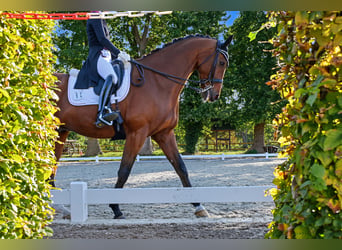 Exclusive horse stable with top-class facilities. Planning permission for extensive expansion is alr