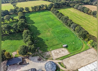 Exclusive horse stable with top-class facilities. Planning permission for extensive expansion is alr