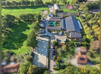 Exclusive horse stable with top-class facilities. Planning permission for extensive expansion is alr