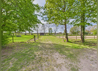 Exclusive riding estate featuring a stylish residence, extensive pastures, and an exceptional equest