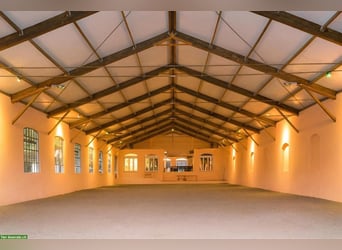 Exclusive riding estate in the Vosges