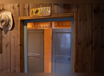 Exclusive riding estate in the Vosges